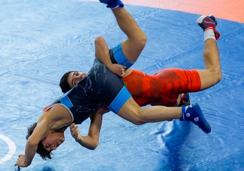 Azərbaycan çempionatında sərbəst güləşçilərin mübarizəsinə yekun vurulub