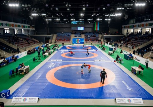 Azərbaycan güləş hakimliyi növbəti uğurlarına imza atıb