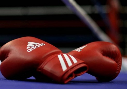 Azərbaycanın boks millisi Türkiyədə təlim-məşq toplanışına start verib
