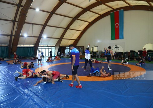 Azərbaycanın güləş millilərinin dünya çempionatı üçün heyətləri açıqlanıb