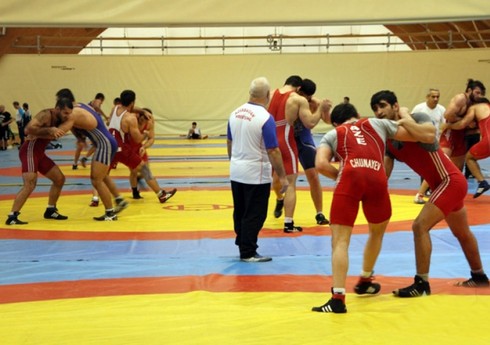Azərbaycanın güləş yığmaları dünya çempionatının hazırlığına start veriblər