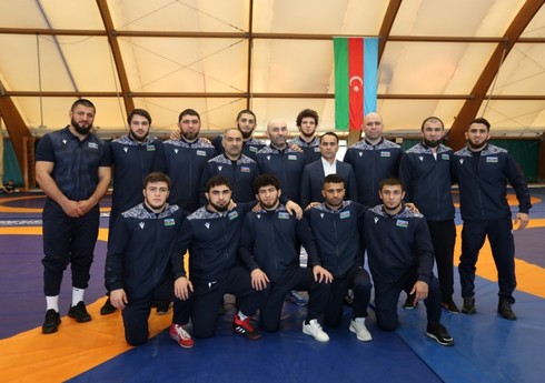 Azərbaycanın sərbəst güləş yığması Avropa çempionu olub