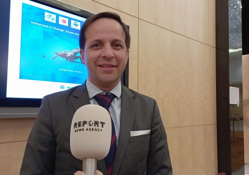 BMT-nin nümayəndəsi: 2026-cı ildə Bakının idman paytaxtı seçiləcəyinə inanıram