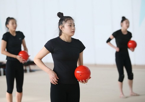 Cənubi Koreya gimnastları təlim-məşq toplanışı üçün Bakıya gəliblər