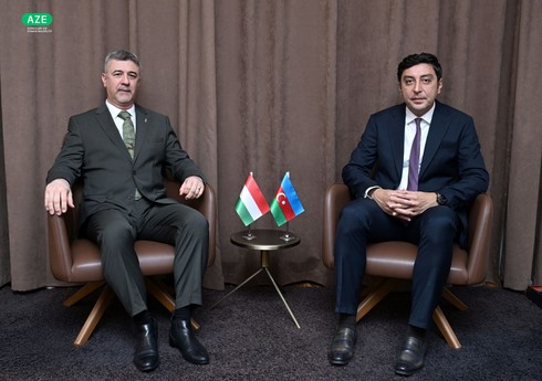 Fərid Qayıbov Macarıstanın Azərbaycandakı səfiri ilə görüşüb