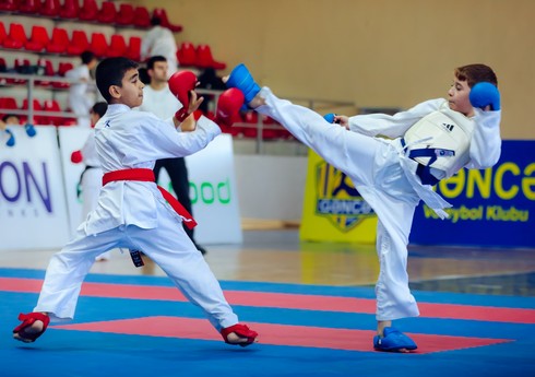 Milli qəhrəmanın xatirəsinə həsr edilən karate turniri keçirilib