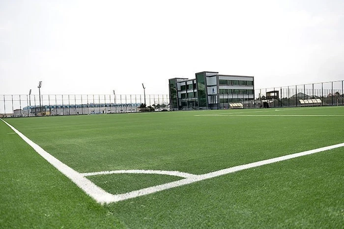 Süni ot örtüyünün yenilənməsi işləri yekunlaşıb