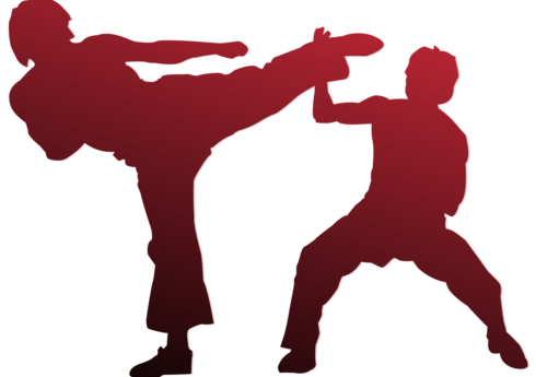 Vətən müharibəsi şəhidinin xatirəsinə həsr olunmuş karate turniri keçiriləcək