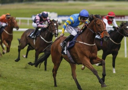 Yorğa atları üzrə respublika birinciliyi keçiriləcək